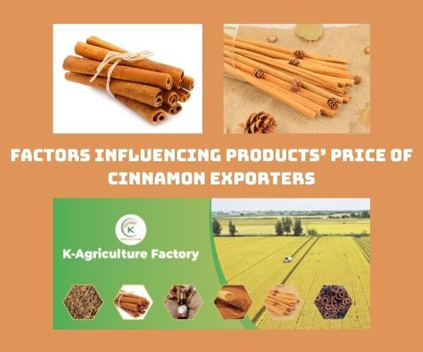 cinnamon-exporters-5.jpg