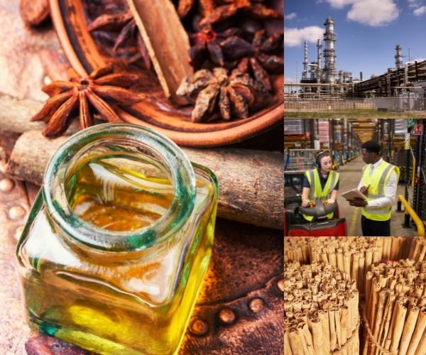 cinnamon-oil-manufacturers-1.jpg