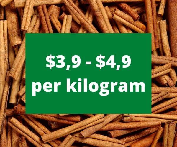 bulk-buy-cinnamon-sticks.jpg
