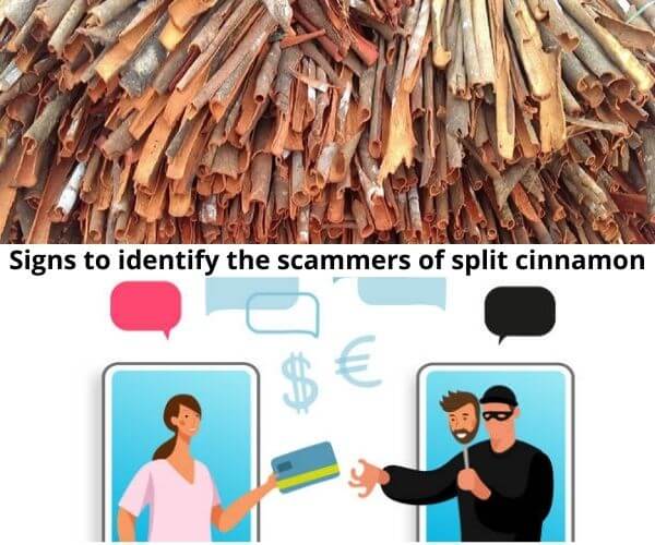 important-information-about-split-cinnamon-for-traders-in-the-world-8