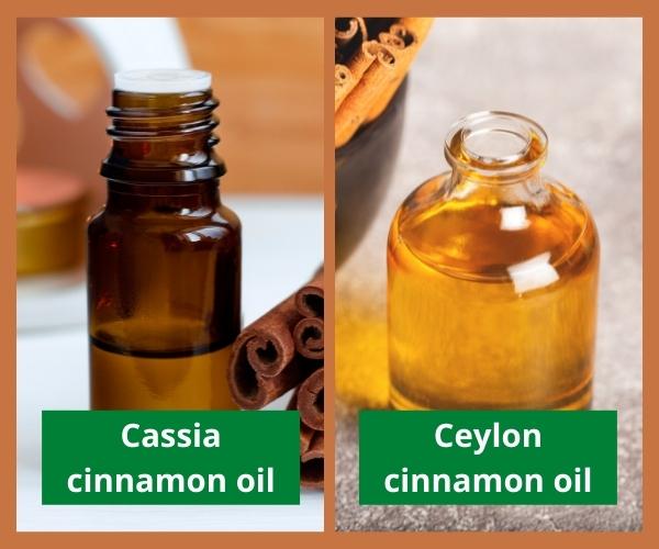 cinnamon-oil-suppliers-1. jpg