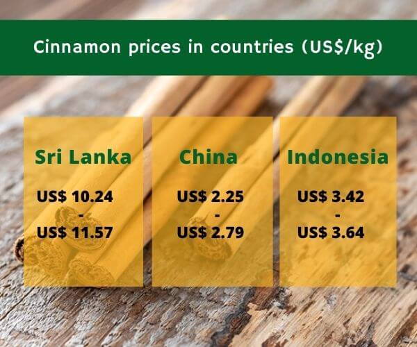 cinnamon-price-in-sri-lanka-4. jpg