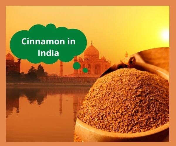 cinnamon-wholesale-price-in-india-1. jpg