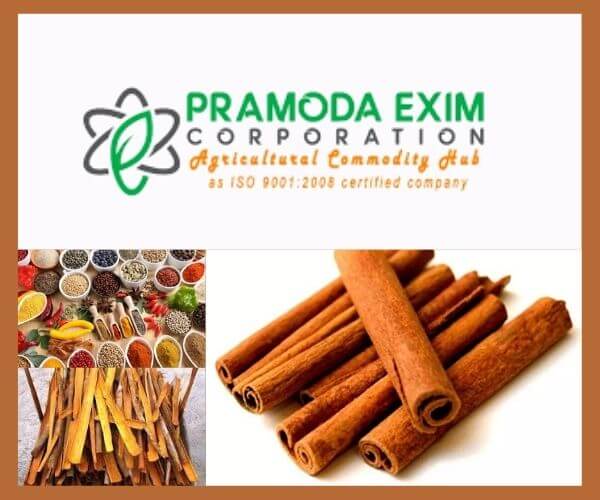 cinnamon-wholesale-price-in-india-5. jpg